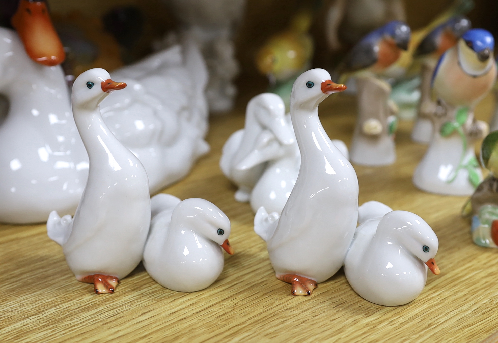 Seventeen Herend porcelain bird figures including boy riding a goose and ducks, some with hand painted decoration, the largest 30cm wide